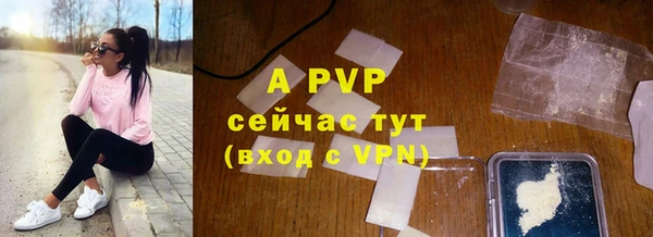 сатива Киренск