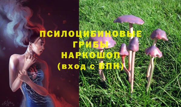 apvp Киреевск