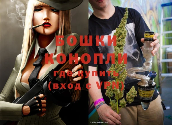 молекула духа Козловка