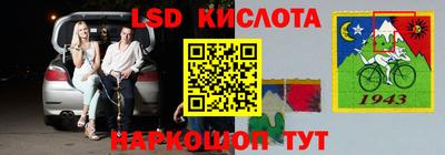 крисы Кингисепп