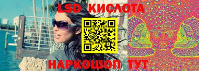 крисы Кингисепп