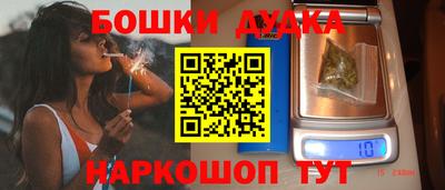 крисы Кингисепп