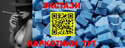 крисы Кингисепп