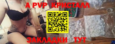 крисы Кингисепп