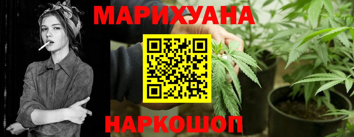 Конопля гибрид Красноуфимск
